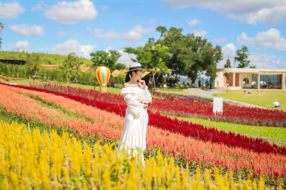 Menikmati Keindahan Bunga Di The Bloom Khao Yai Thailand