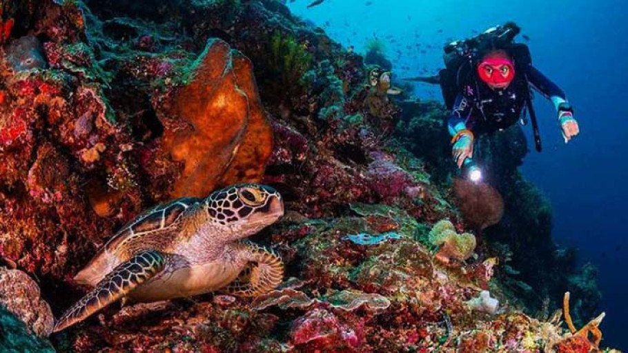 Keindahan Bawah Laut Taman Nasional Bunaken Di Sulawesi