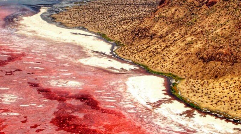 Danau Natron Yang Terletak Di Tanzania Perbatasan Kenya