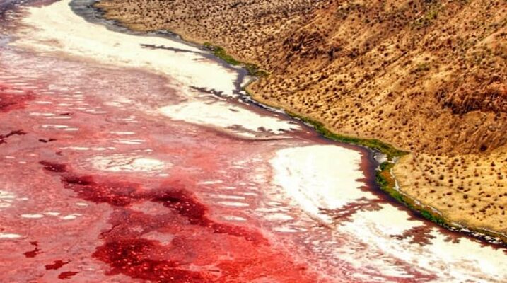 Danau Natron Yang Terletak Di Tanzania Perbatasan Kenya