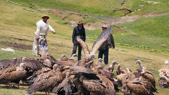 Pemakaman Langit Sebuah Ritual Tradisional Tibet Mongolia