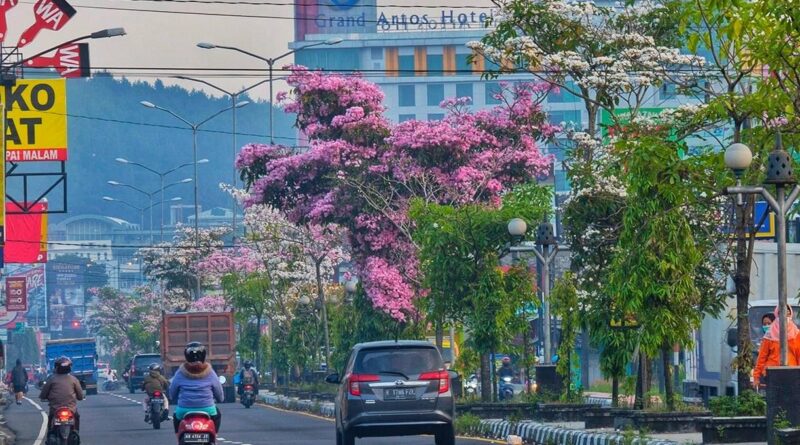 Kota Magelang