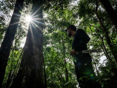 Pesona Perlindungan Alam Di Habitat Yang Terpencil