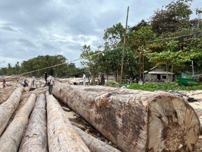 Menata Ulang Lingkungan Untuk Masa Depan Alam Yang Lestari