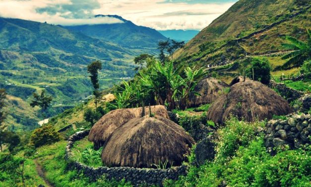 Provinsi Papua Surga Kecil Yang Menjadi Daya Tarik