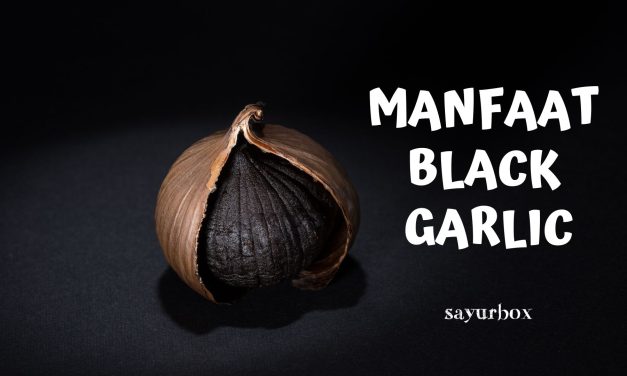 Khasiat Black Garlic Bisa Melindungi Sel Tubuh Dari Radikal Bebas