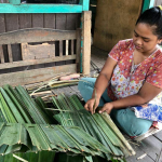 Atap Daun Aren Tradisi Lokal Yang Punya Beberapa Keunggulan