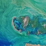 Laut Kaspia Adalah Danau Terbesar Di Dunia, Kok Di Sebut Laut?
