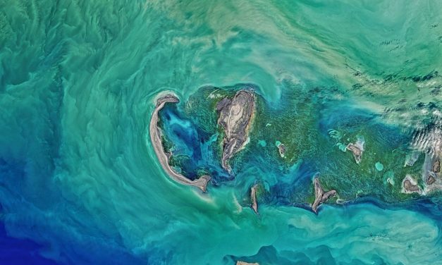 Laut Kaspia Adalah Danau Terbesar Di Dunia, Kok Di Sebut Laut?