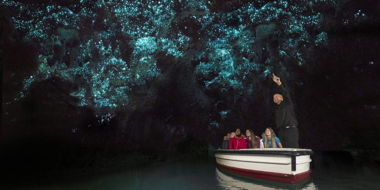 Gua Glow Worm Salah Satu Atraksi Alam Paling Menakjubkan