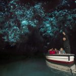 Gua Glow Worm Salah Satu Atraksi Alam Paling Menakjubkan