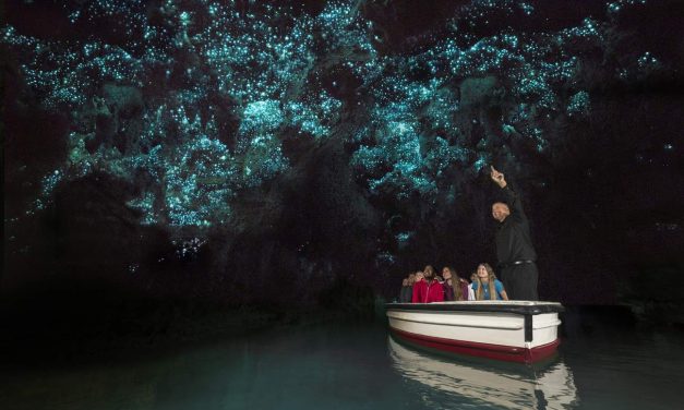 Gua Glow Worm Salah Satu Atraksi Alam Paling Menakjubkan
