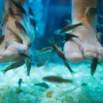 Terapi Ikan Ternyata Sangat Berguna Di Dunia Kesehatan