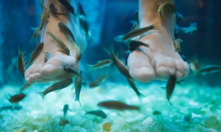 Terapi Ikan Ternyata Sangat Berguna Di Dunia Kesehatan